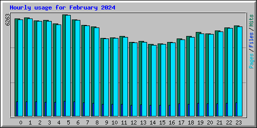 Hourly usage for February 2024